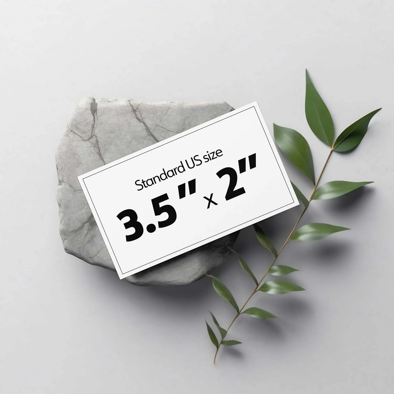 Free business card PSD mockup with standard US measurement