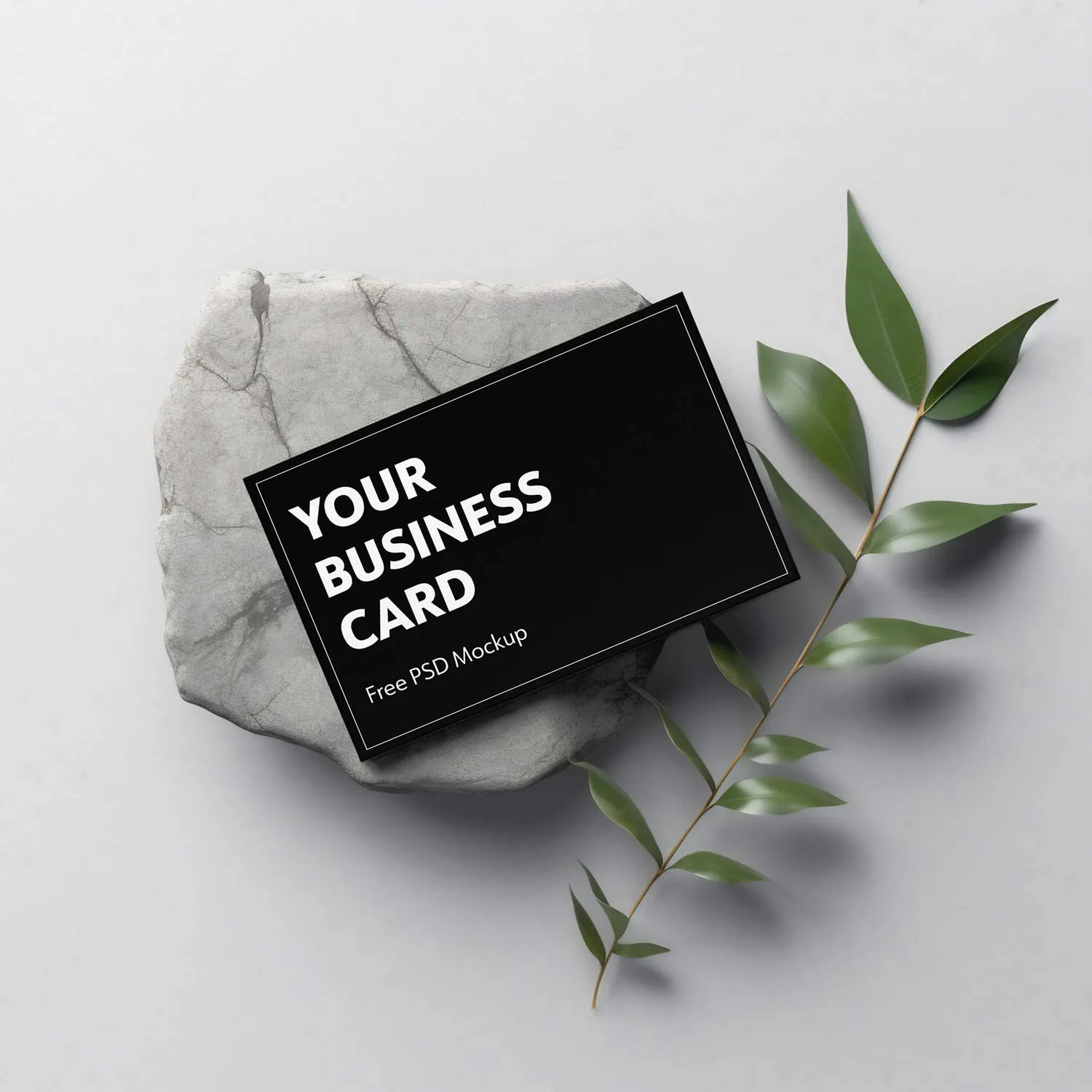 Free mockup of a black business card (standard EU size) on a stone and a branch