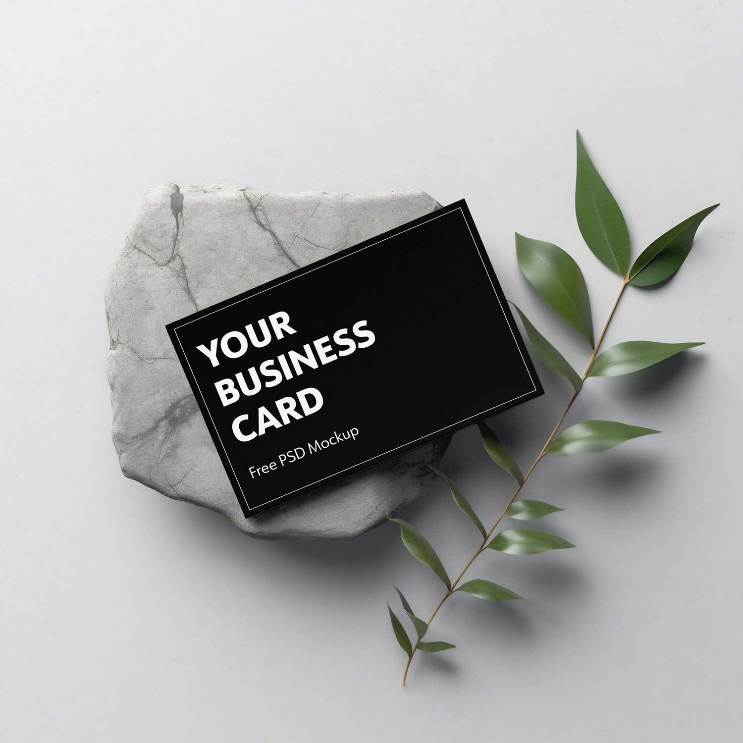 free mockup of a black business card (standard EU size) on a stone and a branch